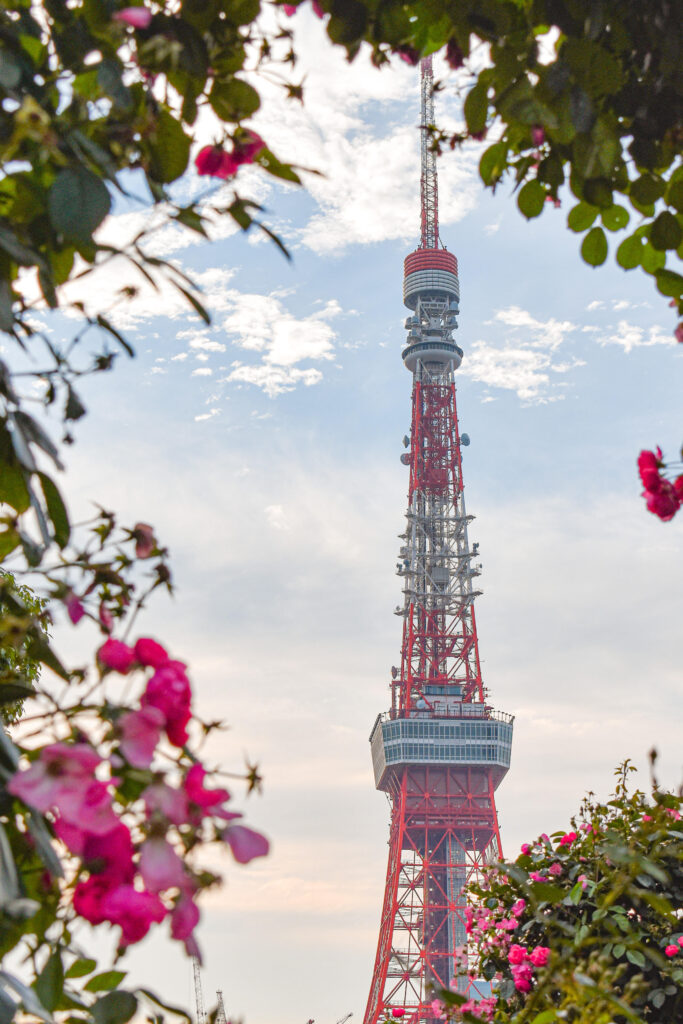 芝浦公園から見た東京タワー