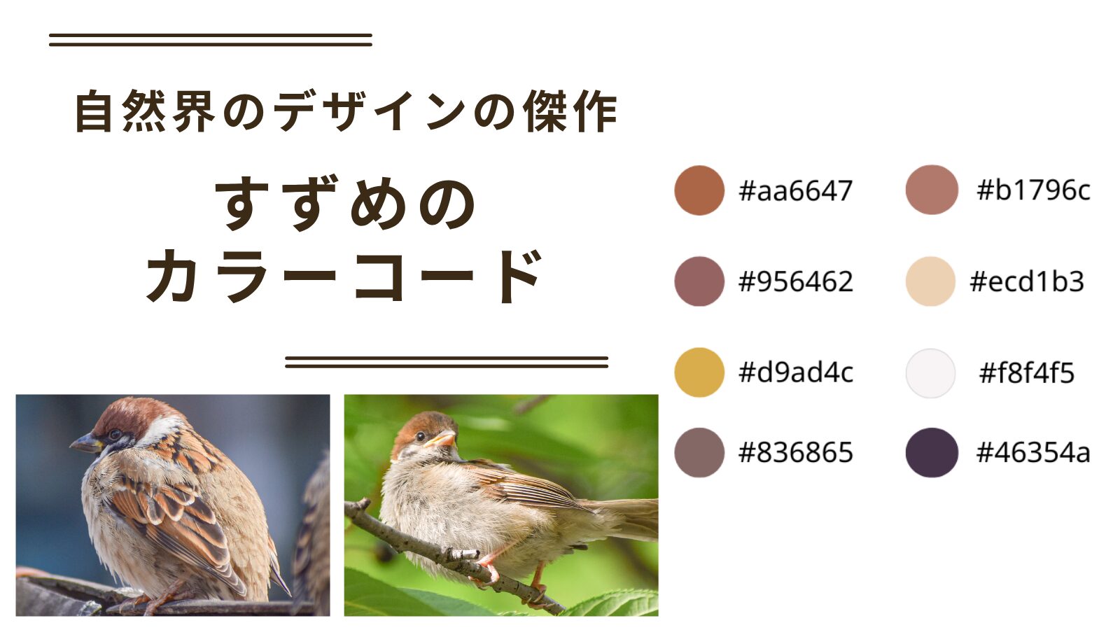 スズメのカラーコード